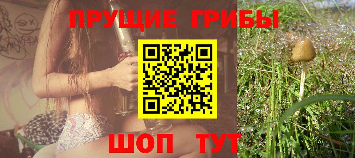 Псилоцибиновые грибы прущие грибы  Вход с VPN  Лыткарино 